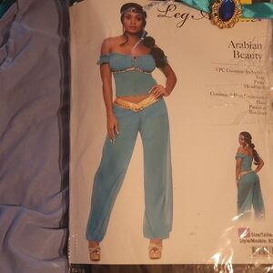 3 Piece Arabian Beauty Princess Costume Set incl built-in panty